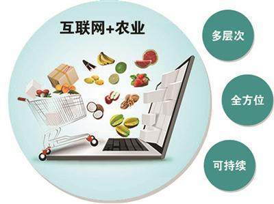 互聯(lián)網(wǎng)技術賦能農(nóng)業(yè)現(xiàn)代化 智慧農(nóng)業(yè)網(wǎng)頁設計解析